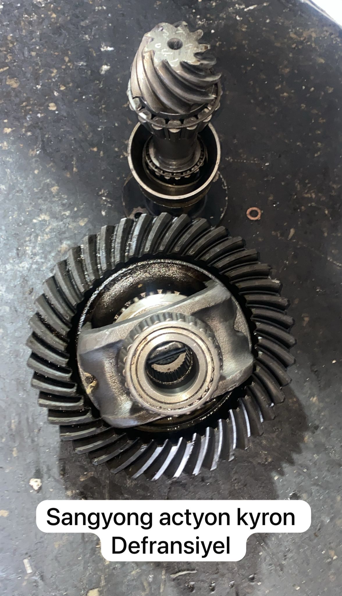 SSANGYONG ACTYON KYRON DEFRANSİYEL -X14042025-816