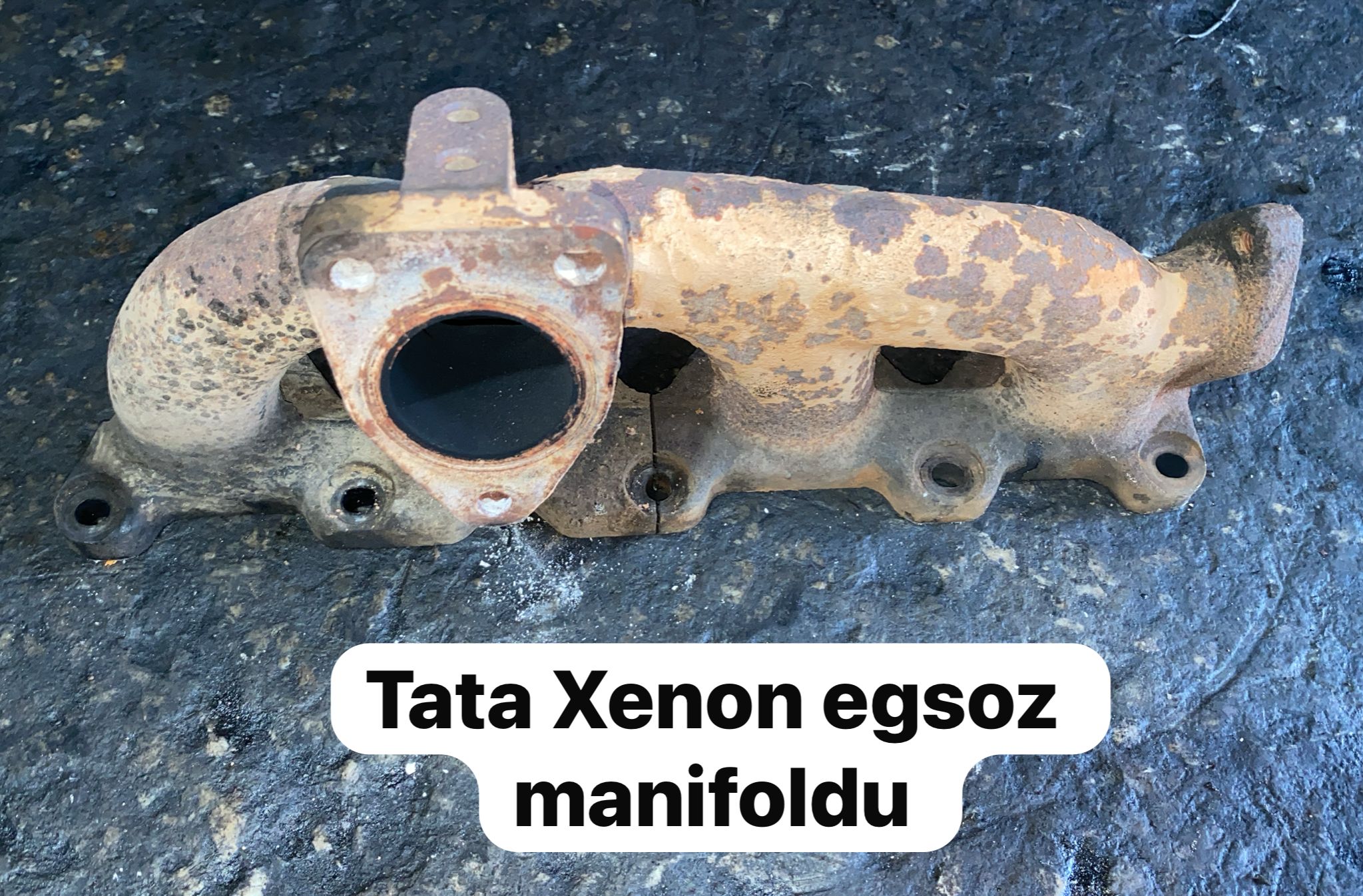 TATA XENON KARTER -X14042025-2596