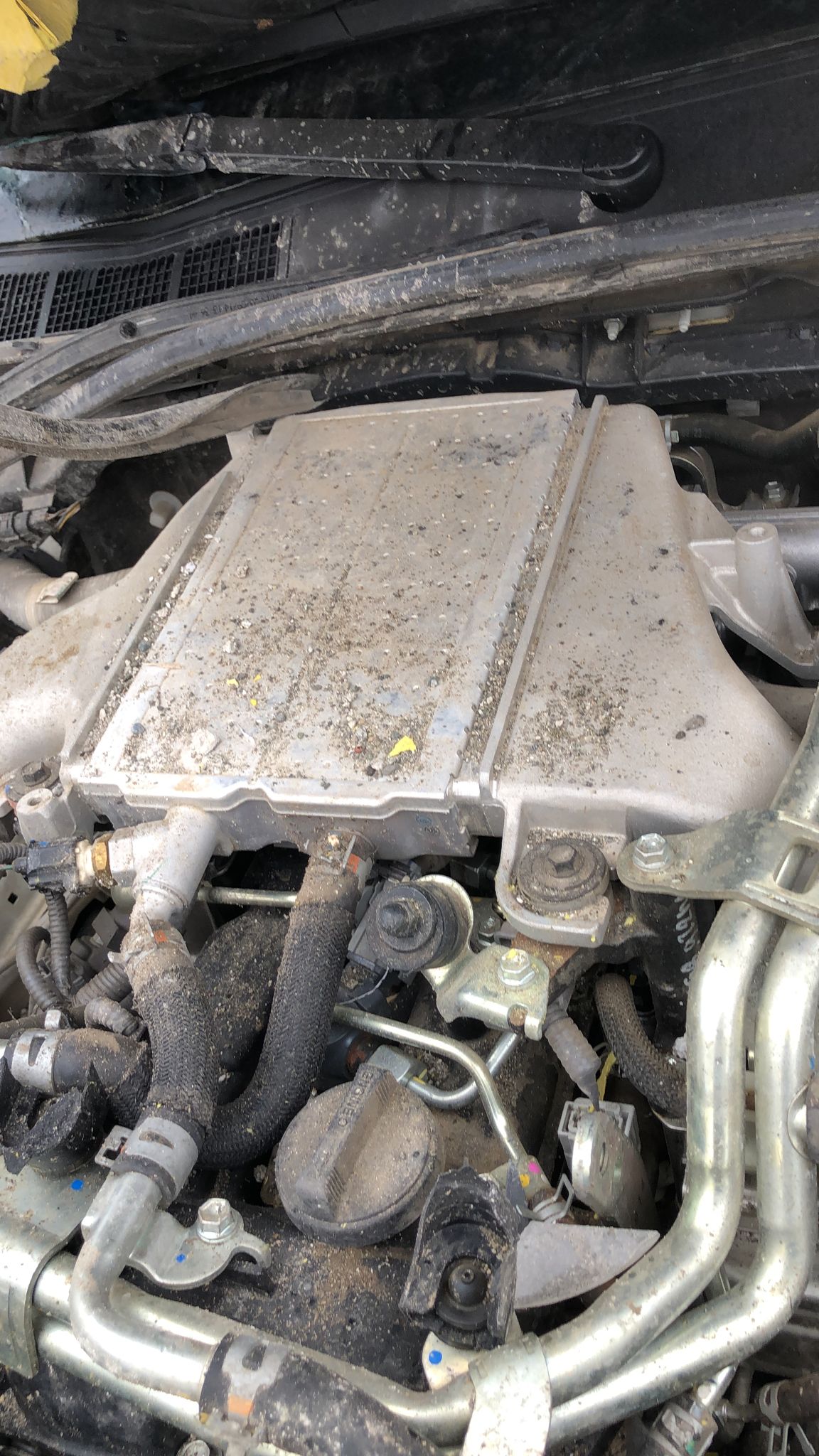 TOYOTA HİLUX 2020-2023 İNTERCOOLER MOTOR -X14042025-5200