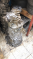 MAZDA BT50 ÇIKMA ŞANZUMAN -X14042025-2166