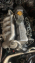 NİSSAN VANETTO MOTOR ÇIKMA
